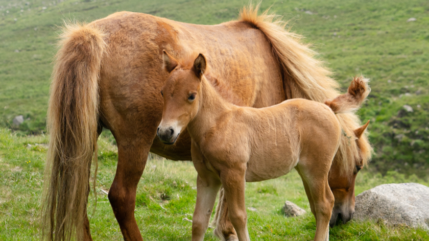Irlanda del Nord a piedi: trekking imperdibili e percorsi nascosti