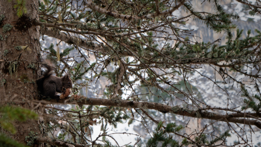 Itinerario di 5 giorni in Trentino a Dicembre tra Dolomiti, mercatini e neve