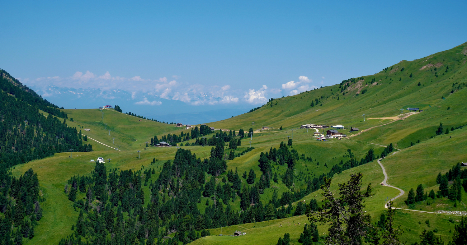 Trekking con il cane in Trentino-Alto Adige: guida completa ai sentieri più belli delle Dolomiti